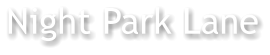 Night Park Lane
